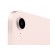 iPad mini 6 WiFi 64GB Pink