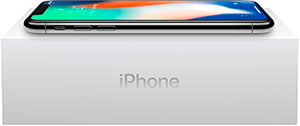 iPhone X Комплект поставки